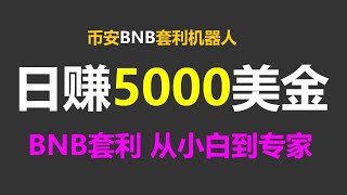 套利致富术：实现财务自由的创新之道 BNB套利机器人 成功人士的财富秘籍：BNB #ETH #BTC #USDT套利机器人挂机兼职！