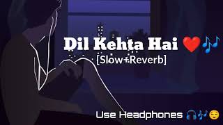 Dil Kehta Hai | Akele Hum Akele Tum | Kumar Sanu & Alka Yagnik | Lofi | Slow+Reverb | LofiVibes |