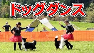 恐るべしドッグダンスの世界【フレンズ練習会ep.4-2】DOG SPORTS FRIENDS