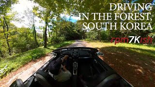 강원도 숲 속 힐링 드라이브 / Driving in the forest, South Korea / 포르쉐 981 박스터 GTS / Porsche 981 Boxster GTS