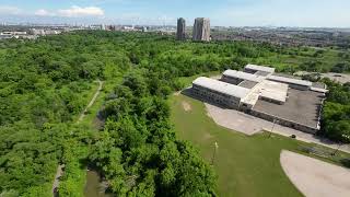 Flight in Humberwood Park