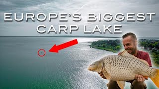 The Most Important Carp of My Life | Lee Mozza Morris | Carp Fishing Lake Balaton