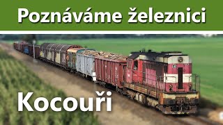 Poznáváme železnici | Kocouři