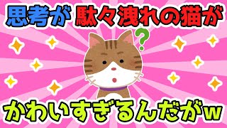 【2chほのぼのスレ】うちの猫の思考が駄々洩れすぎてめちゃくちゃ面白いんだがｗｗｗｗ【ゆっくり解説】