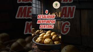 4 Kesalahan Saat Menyimpan Kentang