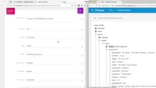FireAdmin Step 8 Updating your data Firebase admin console