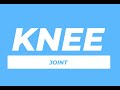 Knee Joint