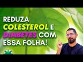 Reduza seu COLESTEROL e DIABETES com ESSA FOLHA!