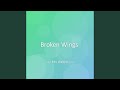 Broken Wings