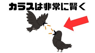 【雑学】鳥に関する雑学