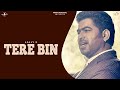 TERE BIN (Full Video) | LALLY K | Latest Punjabi Songs 2017 | Amar Audio