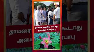 தாமரை மலரவே கூடாது அமைச்சர் சேகர்பாபு ! | Sekhar babu | Porur | Pasumai Park |Inspection