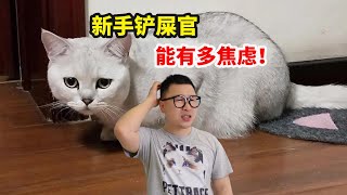 新手养猫，能有多焦虑