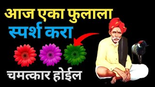 🚨पाहून दुर्लक्ष करू नका|balumama amavasya admapur|songs|