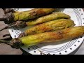 how to preserved or keep the eggplants in the freezer still yummy lynne gross channel