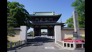 名古屋覚王山日泰寺と山神社 2022年5月