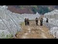 Greek-Macedonian border 'not closed' says president