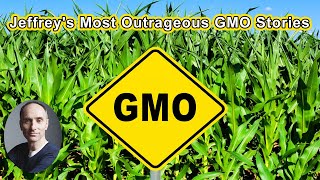Jeffrey's Best (and Most Outrageous) Stories from 25 years of Non-GMO Activism  - Jeffrey M. Smith