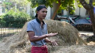 စရိတ်သက်သာ သဘာဝမြေသြဇာ making Organic fertilizer learning