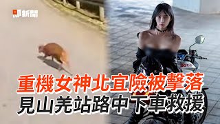 重機女神北宜險被擊落！見山羌站路中下車救援💘｜暖聞｜正妹｜動物救援