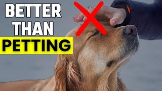 10 Things Your DOG LOVES MORE Than Getting PETS!