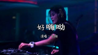 沿音坊DJ舞曲《好嗨呦》2019新版，超好听！