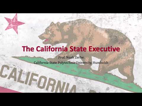 Which executive is a plural executive?