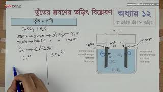 ১২.১০. অধ্যায় ১২: প্রাত্যহিক জীবনে তড়িৎ - তুঁতের দ্রবণের তড়িৎ বিশ্লেষণ [SSC]