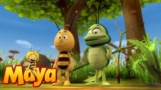 Crack! - Maya the Bee - Episode 8