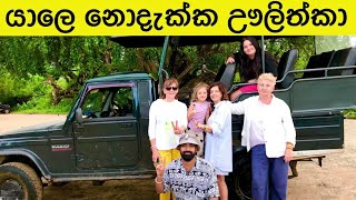 තාස්යා සමඟ ගනන් කරන්න ඉගෙන ගෙන යාල බලමු #yala #travel #baale srilanka