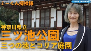 【横浜の公園】三ツ池公園（横浜市鶴見区）のコリア庭園を見てきた