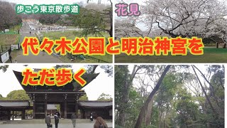 【新宿・花見】 代々木公園と明治神宮をただ歩く｜早送りで全部見せます｜東京ウォーキングコース｜歩こう東京散歩道 #05