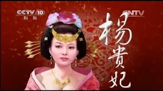 20131127 百家讲坛 唐玄宗与杨贵妃 01 繁花似锦的天宝时代