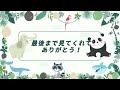 イコロくんのようすです【‎2024年‎6月9日】【上野動物園】ホッキョクグマ