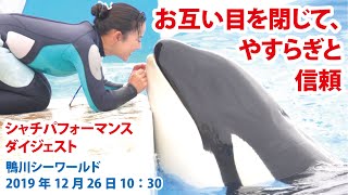 お互い目を閉じて、やすらぎと信頼【2019年12月26日10:30　鴨川シーワールド　シャチパフォーマンス　ダイジェスト】