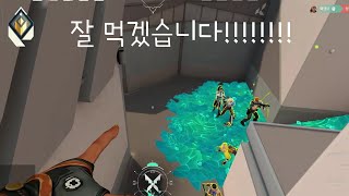 [60hz] 19살 레디언트 얼곰 매드무비ㅣEolgom Radiant Montage