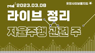 2023.03.08 라이브정리 :  자율주행 관련 주