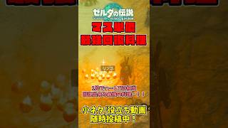 【ティアキン】ハート750分回復！！料理ポーチ圧迫せず1枠で超回復出来る食べ物がこちら【ゼルダの伝説 ティアーズ オブ ザ キングダム】