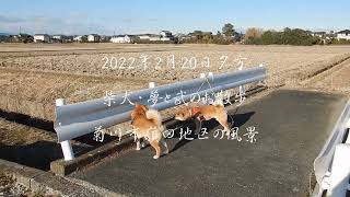 2022年2月20日夕方＿柴犬・夢と武のお散歩＿菊川市嶺田地区の風景