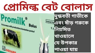 promilk vet Bolus দুগ্ধবতী গাভীকে এবং ষাঁড় গরুকে নিয়মিত খাওয়ালে যে উপকার পাওয়া যায়