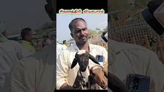 சிவராத்திக்கு, எட்டையாபுரம் ஆட்டு சந்தை நிலவரம் #ஆடு #sheep #செம்மறி #velvonvivasayi #tamilvivasayi