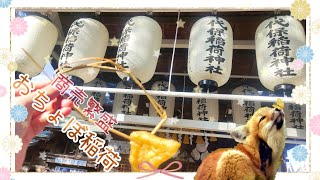 【岐阜さんぽ】おちょぼ稲荷散策、食べ歩き、岐阜グルメ