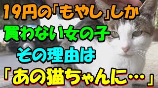 19円のもやししか買わない幼い女の子 その理由をお母さんに聞いてみると「実は、あの猫ちゃんに・・」少女に懐いた野良猫とシングルマザーの家庭で起きた愛ある物語がそこにはあった【猫の不思議な話・朗読】