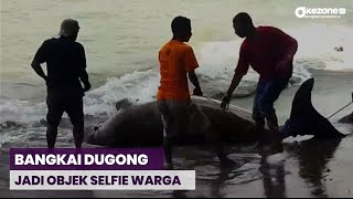 Warga Geger! Dugong Mati Terdampar di Pesisir Pantai Pasar Minggu Passo Ambon