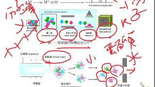 質譜法 蛋白質分析