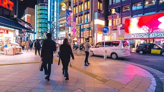 Shinjuku 3-chome - Tokyo Night Walk 4K (新宿モア街からバスタ新宿まで - 東京夜散歩)