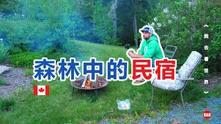 加拿大124集：加拿大森林中的民宿，很热情的房东