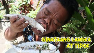 ULAM PROBINSYA | GINATAANG LANGKA NA MAY TIDOK