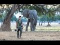 Wild Eye Private Guided Safaris