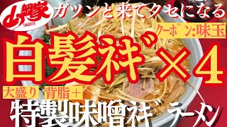 【ラーメン山岡家】やっぱり特製味噌(●´ω｀●)白髪ネギを4杯乗せた最強の一杯で堪能🍜♪【岐阜 ラーメン】